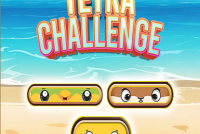 Tetra Challenge img